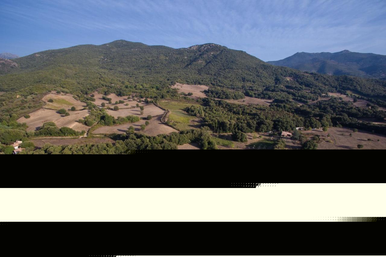 CauroDomaine Finili别墅 外观 照片